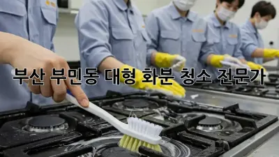 부산 부민동 대형 화분 청소 전문가 🪴✨