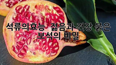 석류의효능 💥 젊음과 건강, 붉은 보석의 비밀!